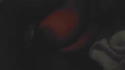 Thatgirlivvyyy live cam on Cam4