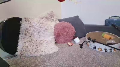 ThathoinTo live cam on Cam4