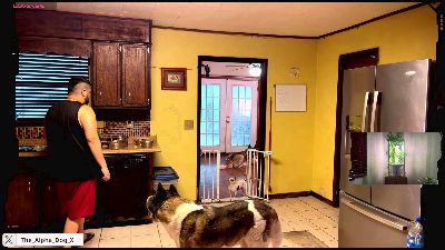 The_Alpha_Dog live cam on Cam4