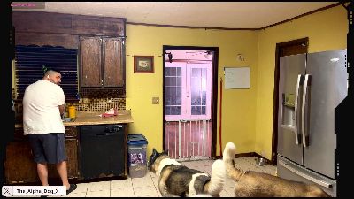 The_Alpha_Dog live cam on Cam4