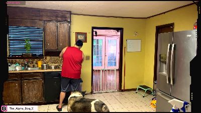 The_Alpha_Dog live cam on Cam4