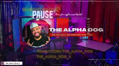 The_Alpha_Dog live cam on Cam4