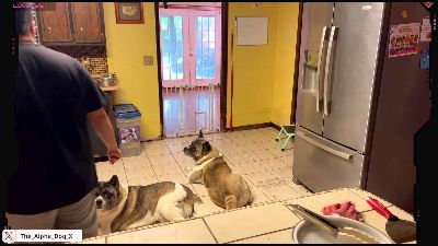 The_Alpha_Dog live cam on Cam4