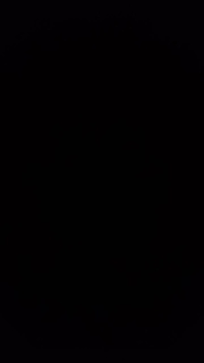 The_Black_Bear