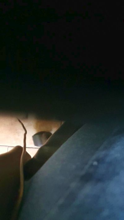 The_Thick_Cock live cam on Cam4