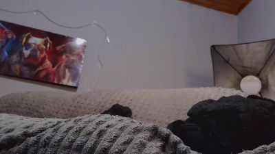 Theanfitrion69 live cam on Cam4