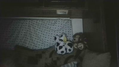 Tierrahmarie live cam on Cam4