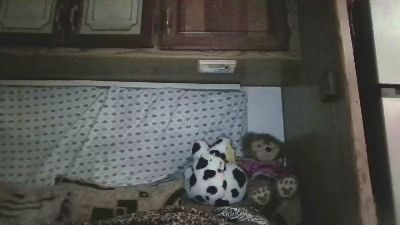 Tierrahmarie live cam on Cam4