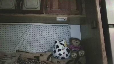 Tierrahmarie live cam on Cam4