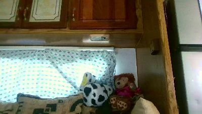 Tierrahmarie live cam on Cam4