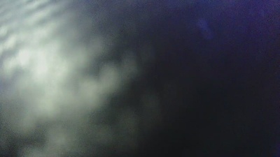 TigerT live cam on Cam4
