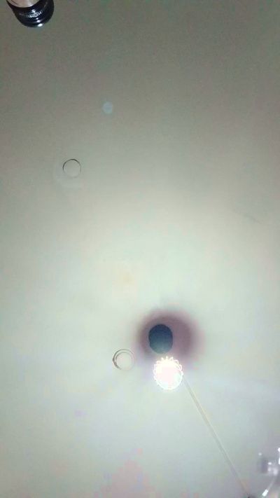 Tinchitoo live cam on Cam4