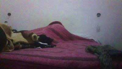 Todorosadito live cam on Cam4