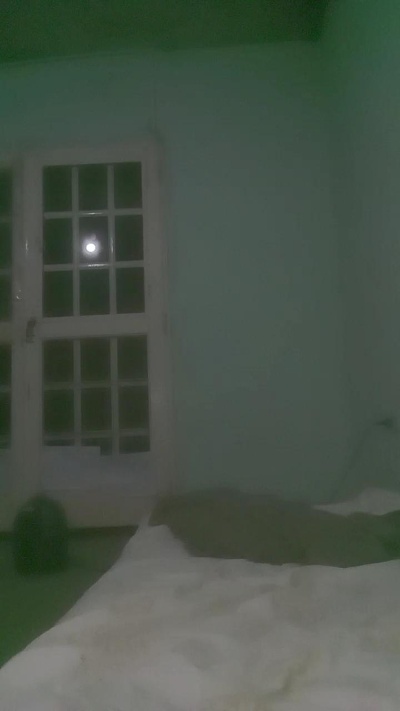 Todorosadito live cam on Cam4