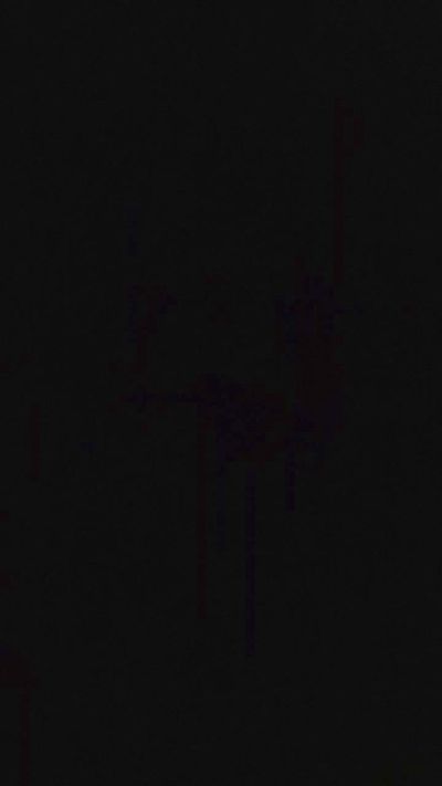 TonyElisia1976 live cam on Cam4