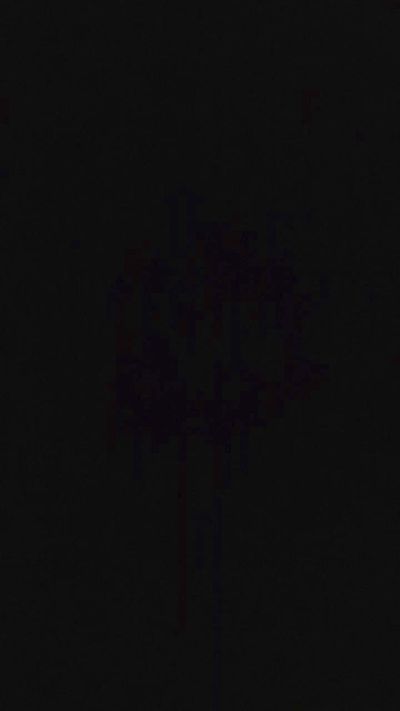 TonyElisia1976 live cam on Cam4