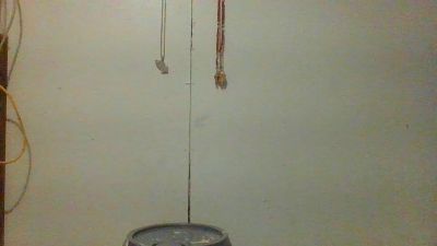 TonySpliff live cam on Cam4
