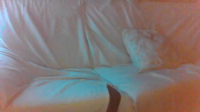 Tony_Merengue live cam on Cam4