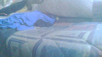 Tonyfrie live cam on Cam4