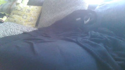 Tonyfrie live cam on Cam4