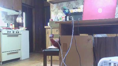 Tootyrooty live cam on Cam4