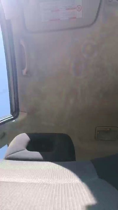 ToroEmpotrador live cam on Cam4