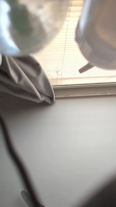 Trebs69si live cam on Cam4