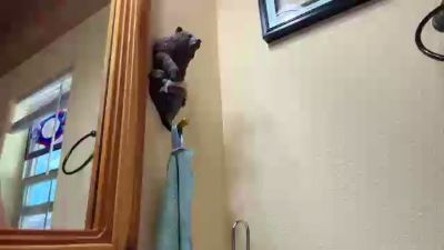 Tsllihc5255 live cam on Cam4