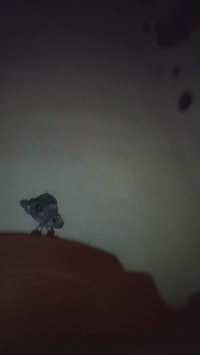 Tugata live cam on Cam4
