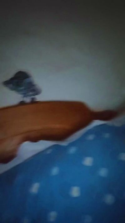 Tugata live cam on Cam4