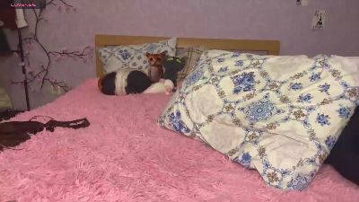 TyraFelicano live cam on Cam4