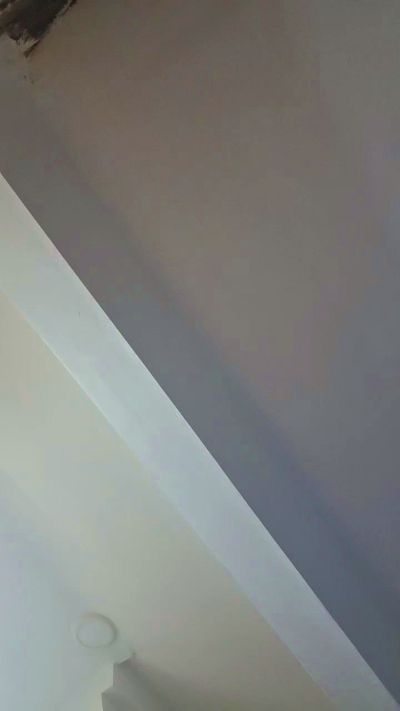 Tzedita live cam on Cam4