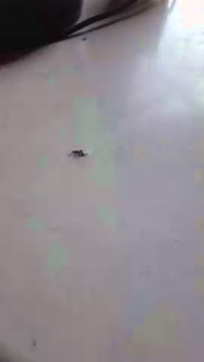 Valporro77 live cam on Cam4