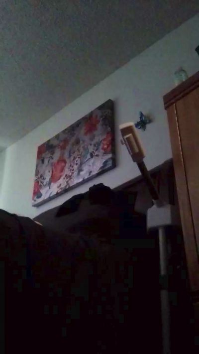 Vegas_vanessa26 live cam on Cam4