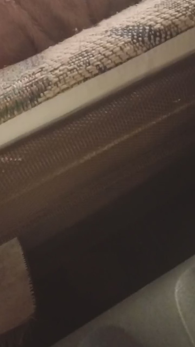 Velvetrayne live cam on Cam4