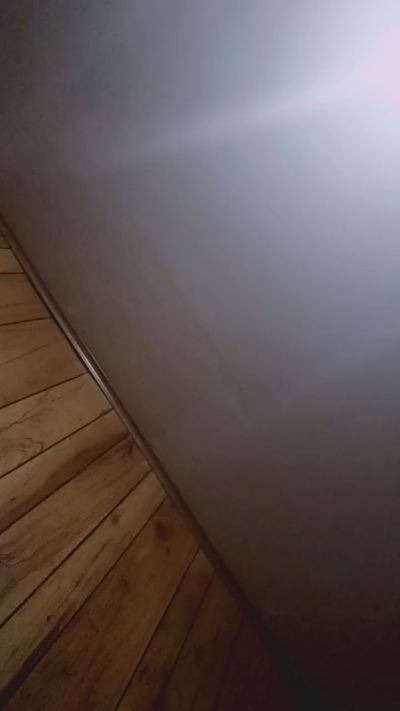 Velvetrayne live cam on Cam4