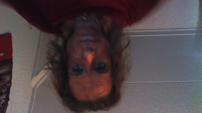 Veronacd live cam on Cam4