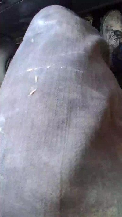 Vidalgo live cam on Cam4