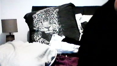 Vinie31 live cam on Cam4
