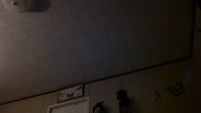 Vividvista live cam on Cam4