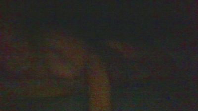Vodsii live cam on Cam4