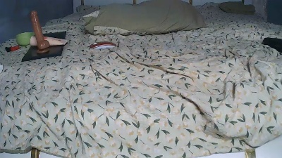 WILDFEMALE live cam on Cam4