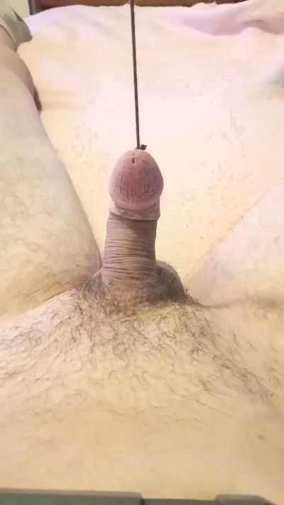 WannaCmyPnis live cam on Cam4