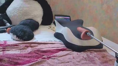 Wedgeetlili live cam on Cam4