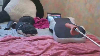 Wedgeetlili live cam on Cam4