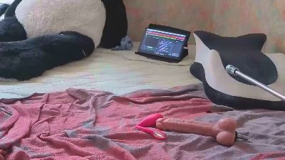 Wedgeetlili live cam on Cam4