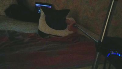 Wedgeetlili live cam on Cam4