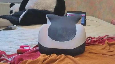 Wedgeetlili live cam on Cam4