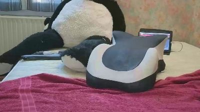 Wedgeetlili live cam on Cam4