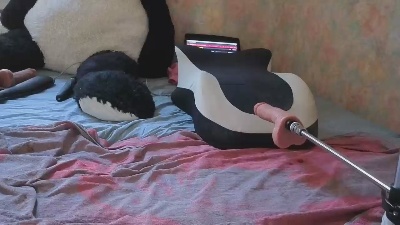 Wedgeetlili live cam on Cam4